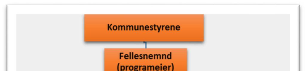 7 Roller og ansvar i programorganisasjonen Figurene under viser en prinsippskisse for programorganiseringen i hhv fase 1 og 2 og fase 3 og 4.