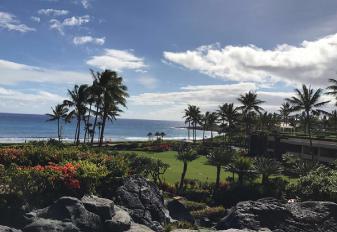 på Sheraton Waikiki Beach i delt dobbeltrom Ingrid Selmer er yogaleder og leder for gruppen og er med fra-til Norge OBS*Andre utfluktsforslag på stedet