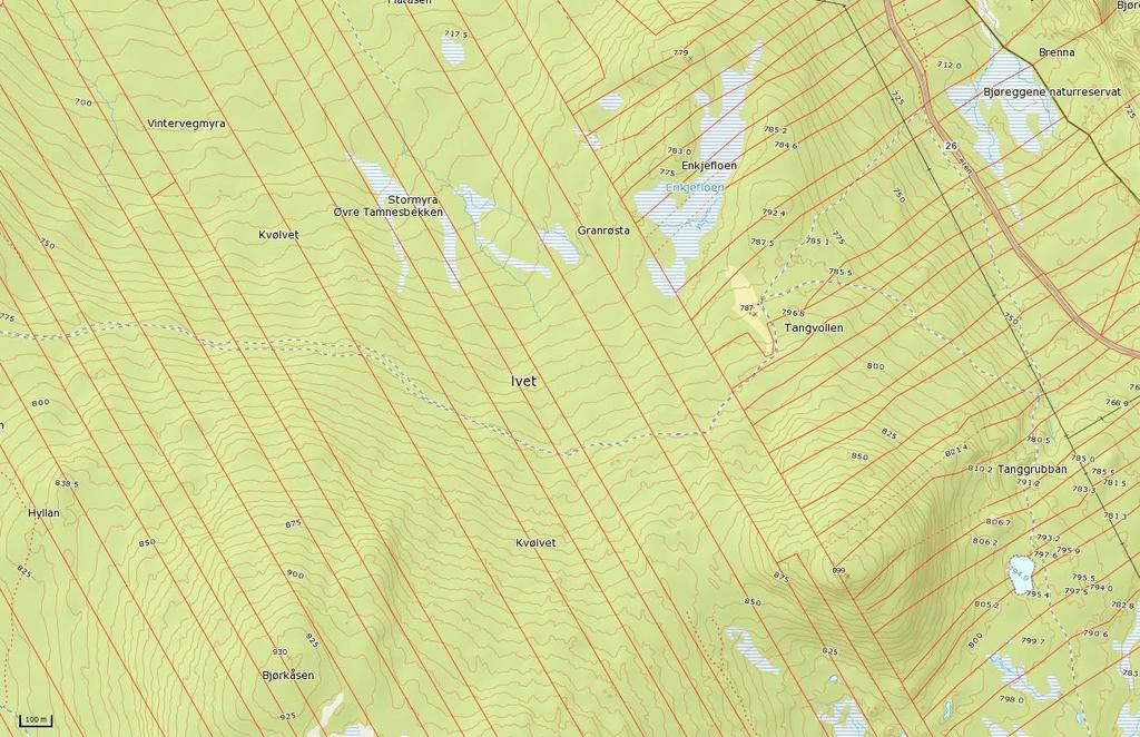 Eiendomsstruktur i skog Tolga,