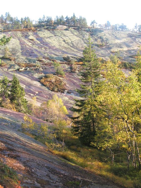 Bilder fra området Fjellgardane Hommesvåna Foto: Terje