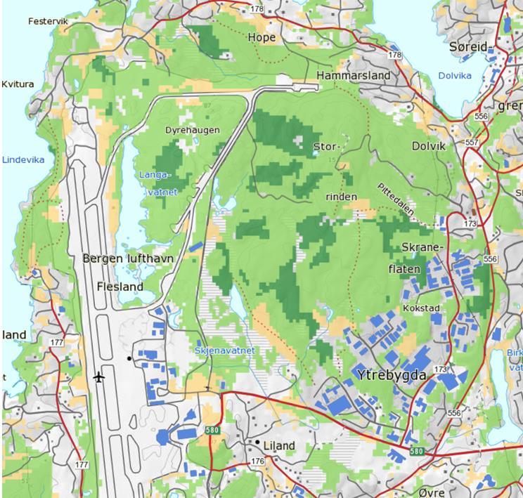 Generelt har gammel skog ofte høyere biologisk mangfold enn yngre skog på grunn av lengre kontinuitet med både stående og liggende død ved.