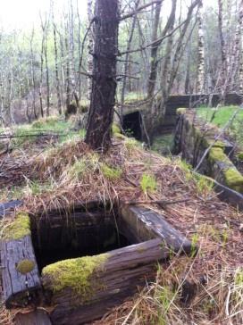 Mot øst er området skogkledd natur og friluftsområde.