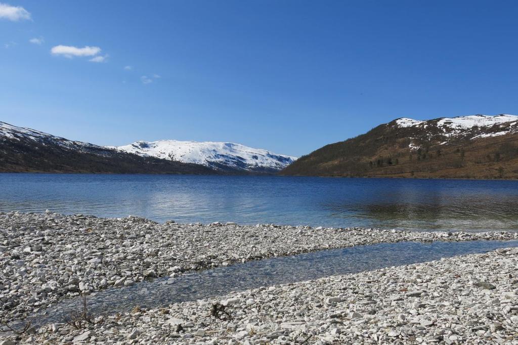 Årsmelding Naustdal-Gjengedal landskapsvernområde 2014 Byrkjeneset ved