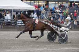 Ulf Thoresen Grand International v/tron Gravdal Årets utgave av Ulf Thoresens Grand International holder imponerende høy klasse. På startstreken står det dessuten deltakere fra mange land.