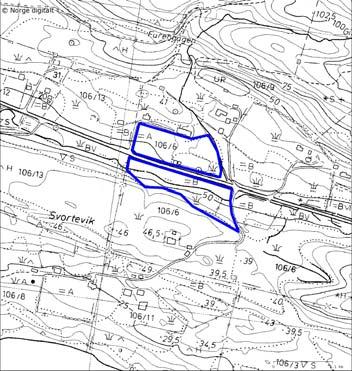 03. Svortevik Lokalitetsnamn: Svortevik Dato 07.