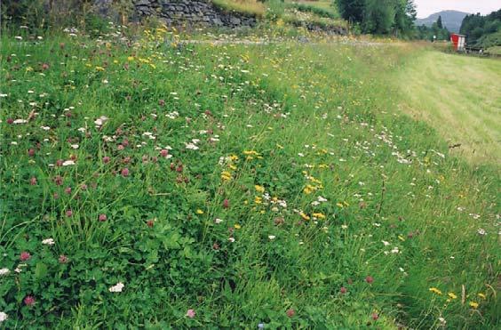 Avgrensing og foto frå området. Hovudtype: Gardslandskap, slåttemark (fig. 5). Landskapsregion 21, Ytre fjordbygder på Vestlandet. Region 7, Stongfjorden/Norddal.