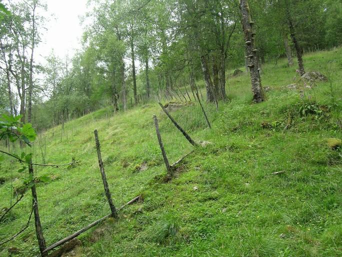 Region 22.14, Jordbruksbygdene i Sunnfjord. Områdeskildring: Garden Slåtten ligg i Angedalen, nordaust for Førde sentrum.