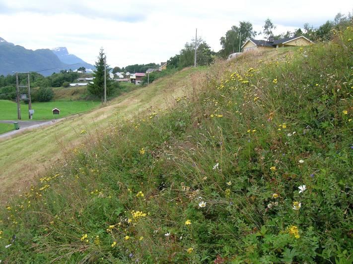 Avgrensing og foto frå området. Hovudtype: Slåttemark (fig. 13). Landskapsregion 22, Midtre bygder på Vestlandet. Region 22.17, Hyen.