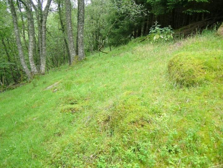 Avgrensing og foto frå området. Hovudtype: Naturbeitemark (fig. 14). Landskapsregion 22, Midtre bygder på Vestlandet. Region 22.17, Hyen.