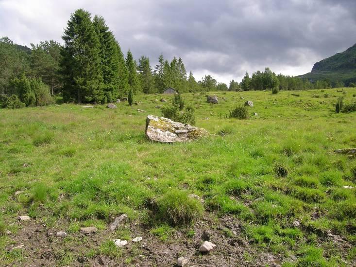 Avgrensing og foto frå området. Hovudtype: Naturbeitemark (fig. 20). Landskapsregion 22, Midtre bygder på Vestlandet. Region 22.17, Hyen.