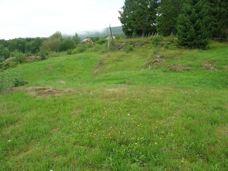 Avgrensing og foto frå området. Hovudtype: Naturbeitemark og slåttemark (fig. 22). Landskapsregion 23, Indre bygder på Vestlandet. Region 23.16, Stryn.