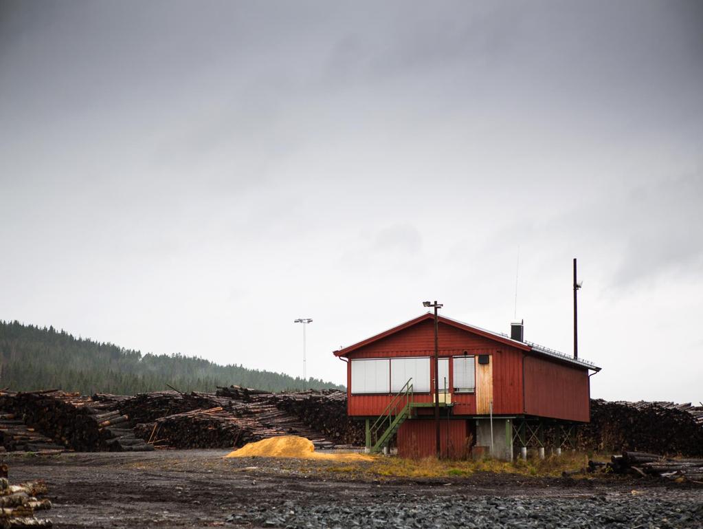 Fra tre til dyrefôr I ei lita brakke på Vestad