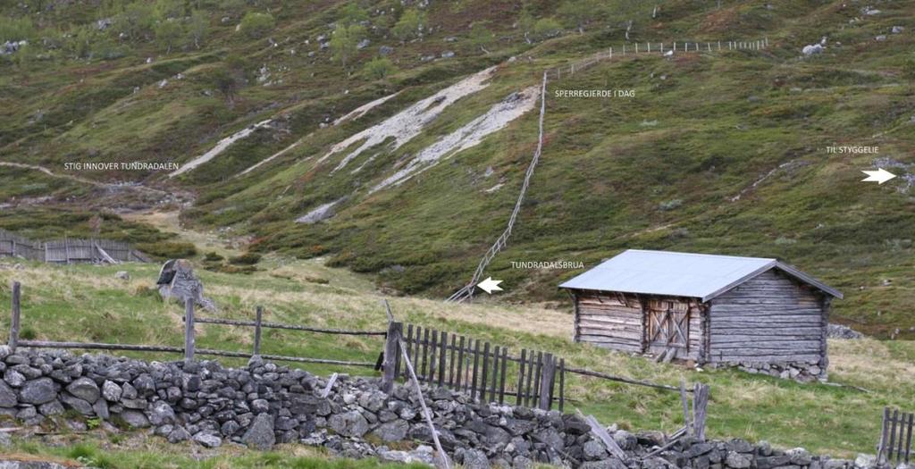 Situasjonsbilde av slik gjerdet er i dag. Verneforskrift, forvaltningsplan og naturmangfaldlov Tiltaket omfattar endring og forlenging av sperregjerde/bæjegjerde i nasjonalparken.