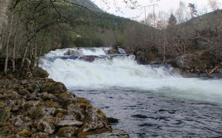 Blå strek: dam kote 79.