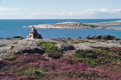 Kraftverk i Svelvik Brennmanet Fritidsbåter