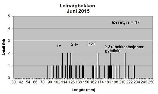 4.3 Ungfisk undersøkelser For ungfisketellingene i Leirvågbekken har vi skilt mellom ørret i årsklassene antatt 0+ (årsyngel), 1+ og individer 1+ (ettåringer eller eldre).