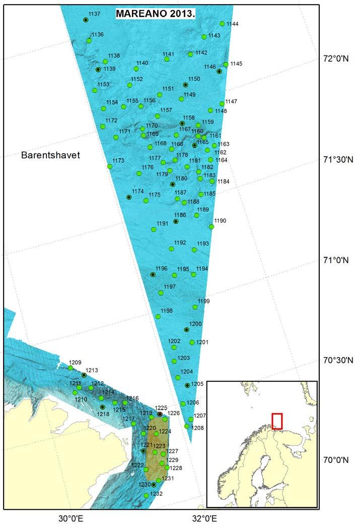 5.2 Tokt nr. 2013-110: Datainnsamling Barentshavet Barentshavet øst, Finnmark øst. 30. juli 21. august Innsamlete stasjoner i Barentshavet øst i 2013 er vist i Fig. 5.2. Stasjonsdetaljer er vist i Tabell 5.