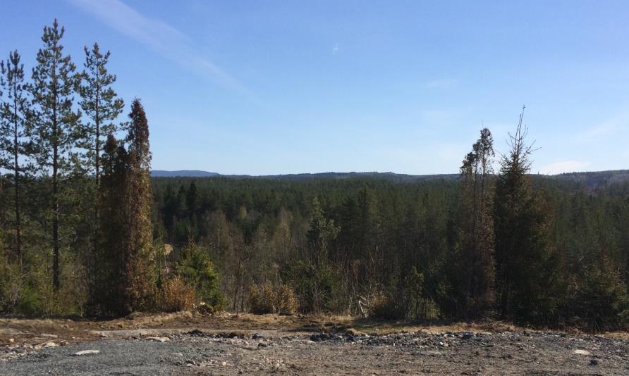 Landbruk og skogsbruk Brukbart virke er tatt ut i området. Terrenget i området har mye innslag av myr og er lite egnet for skogsbruk.