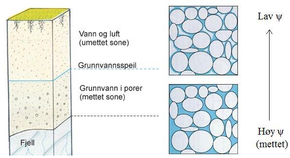 Vannstrømning i umettet sone Umettet sone er den delen av jorda der porer er fylt med både luft og vann (Figur 4).