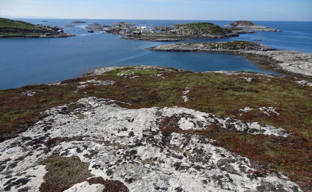 Skjøtselsplan for Sør Gjæslingan: Kjerkøya, kystlynghei.