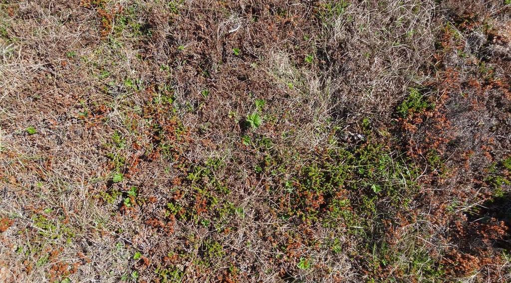 Midt på bildet ved bergsprekken står et leskjul. Foto: Liv Guri Velle/Møreforsking, 10.06.2014. Figur 6.