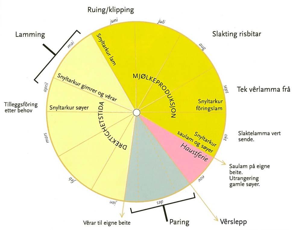 Vedlegg 1: Eksempel på villsaudrift gjennom året fra Grøneng (Sogn og Fjordane). Kilde: Villsauboka Buer, H. 2011. Villsauboka. Selja Forlag, Florø.