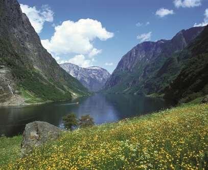 Vestnorsk fjordlandskap Criterion (viii): The West Norwegian Fjords are classic, superbly developed fjords, considered as the type locality for fjord landscapes in the world.