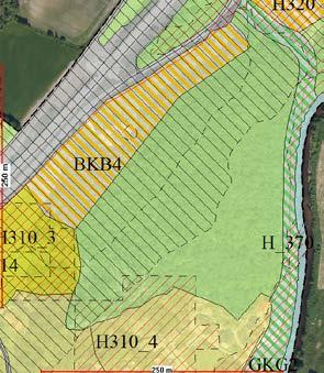 innenfor disse områdene: - Linnegrøvan - planlagt utvidet næringsområde BN - Vestre del av Tangvall - boligfeltene B1, B2, B3, B5 - Østre del av Tangvall - regulerte landbruksområder i gjeldende