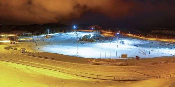 PARK OG IDRETTSSEKSJONEN Bjørn-Inge Ingvaldsen, Drifts- og Produksjonssjef Seksjonen har ansvar for drift og vedlikehold av byens parker og idrettsanlegg(utendørs).