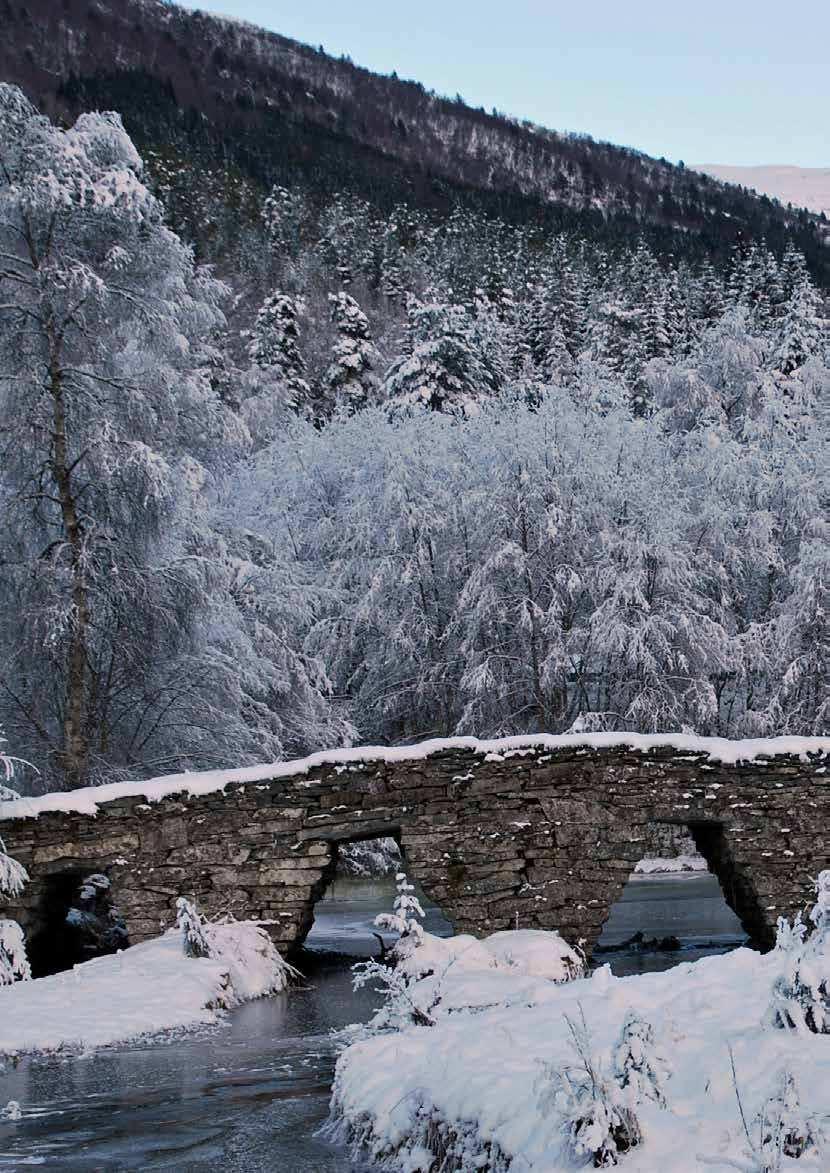 Sogn og Fjordane fylkeskommune årsrapport