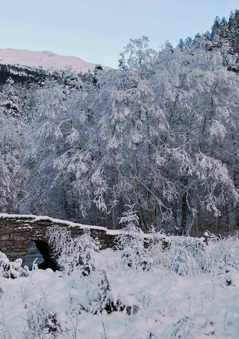 Sogn og Fjordane fylkeskommune årsrapport 2013 5 Steinbru ved Markane i Stryn.