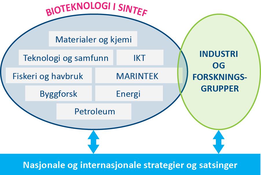 og Programplan for BIOTEK2021. 3) 1. Havbruk, sjømat og forvaltning av det marine miljøet 2. Landbruksbasert mat- og biomasseproduksjon 3. Miljøvennlige industrielle prosesser og produkter 4.