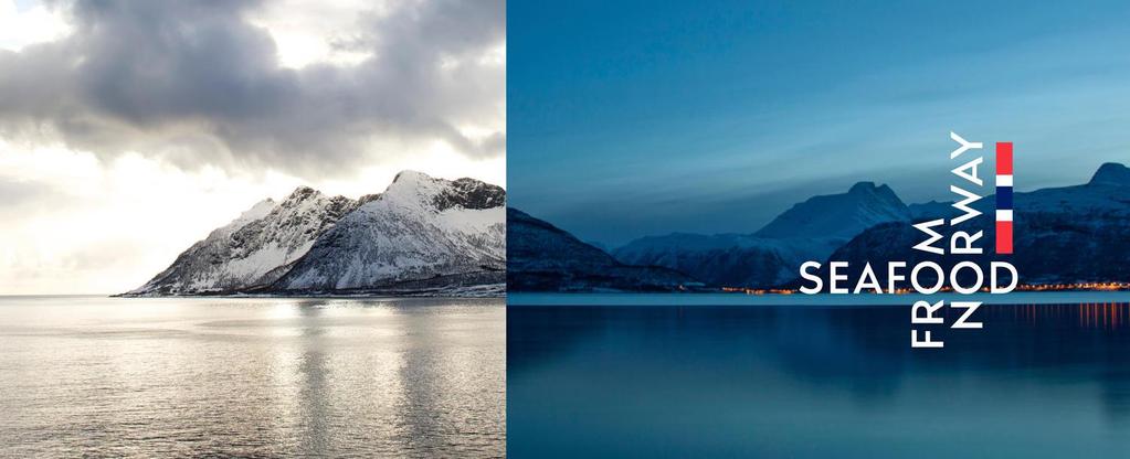 Innledning For produsenter som bearbeider norsk sjømat utenfor Norge må det søkes egen lisens.