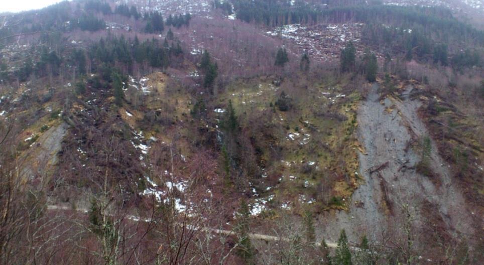 retningslinjer for hvordan skogen skal tas med i vurderingen av skredfare» («Forslag til kriterier for