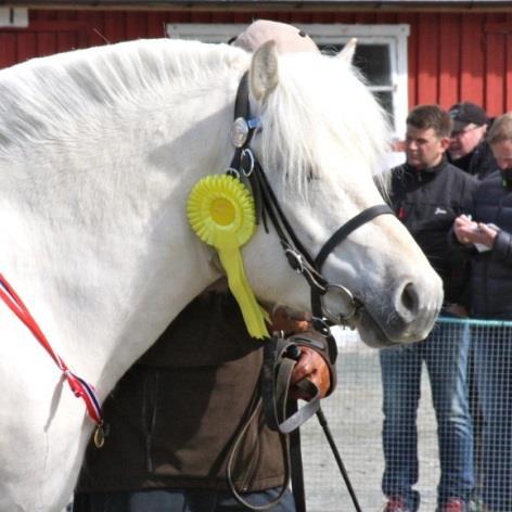 Manke Bryst Pipe Kryss Kropp Stang: Bånd: Omkrets: Omkrets: Klavemål: Stangmål: Lengde: 142 152 167 20 7.