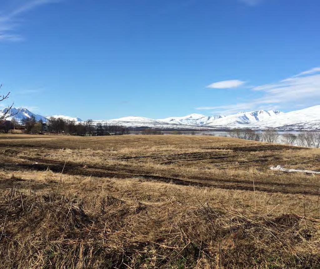 6.3 Delområde 3 Holt Figur 33 Jordbruksområdene på Holt med utsikt mot Kvaløya Beskrivelse Delområde 3 Holt preges av mindre men mer strukturert bebyggelse der åpne jordbruksområder er dominerende