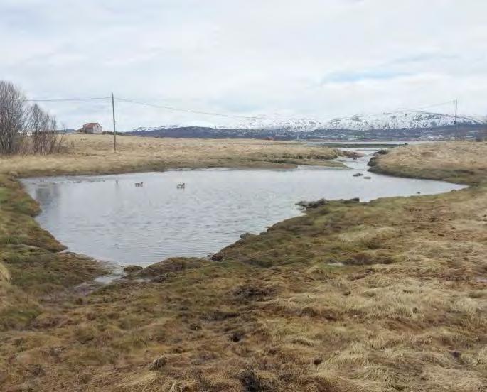 6.4 Delområde 4 Kvaløysletta Figur 38 Selnes med utsikt mot Håkøya Beskrivelse Delområde 4 Kvaløysletta preges av en overordnet og klar boligbebyggelsesstruktur med større og mindre grøntinnslag i et