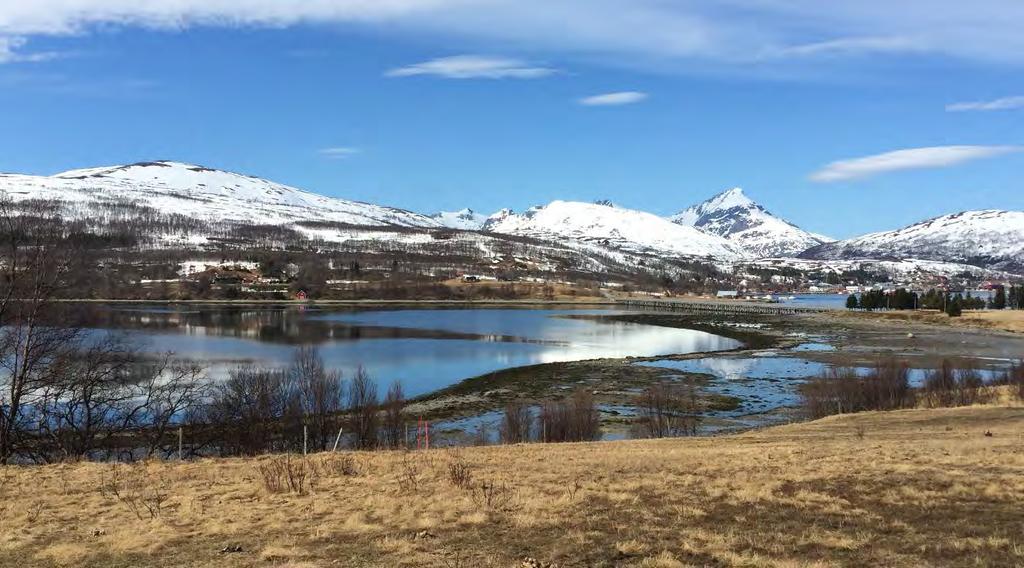 Landskapsrommet har en dominerende nord- sør retning, og den nye brukonstruksjonen bryter med denne.