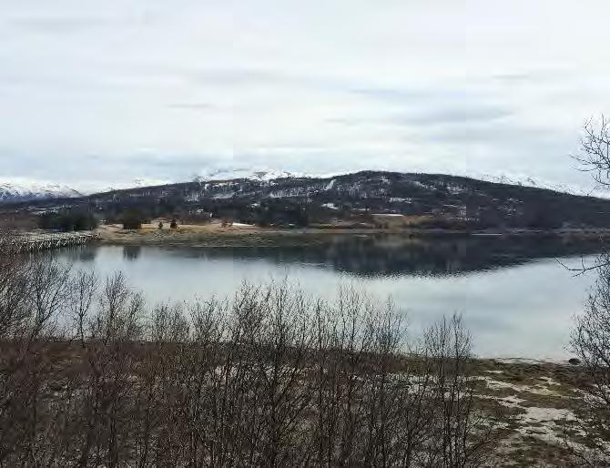 Bebyggelsen, brua over til Håkøya og andre landskapselementer er fullstendig integrert i landskapet og danner et harmonisk helhetsinntrykk.