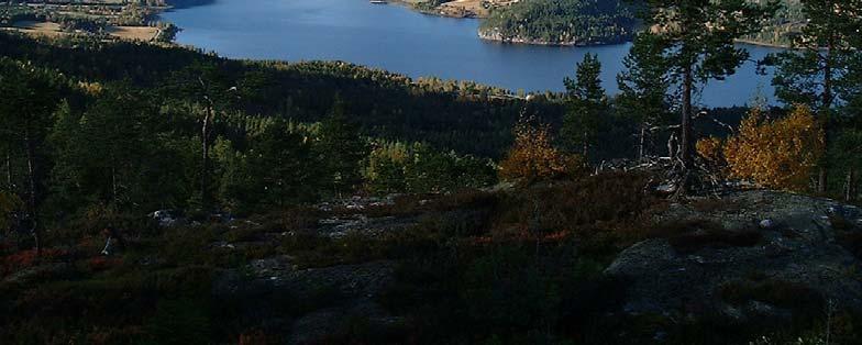 harde bergarter. Foto: Øystein Engen.