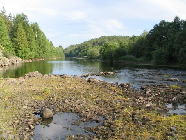 dyrket mark og frodig løvskog.