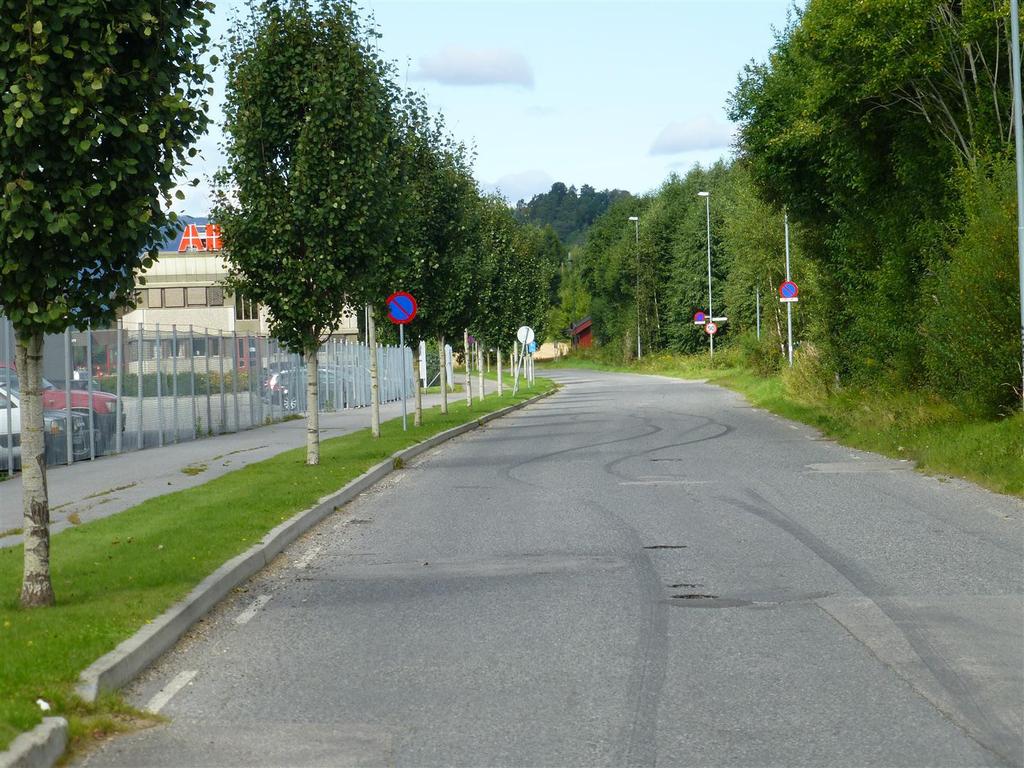 Risikovurdering av fv 44 Mælagata og Amtmand Aalls gate i Skien - tillegg til