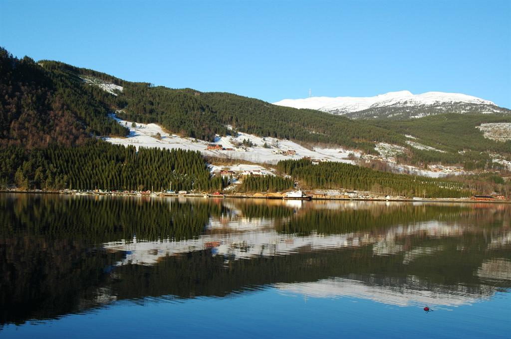 fremmedpollinering Kaupanger frostherdig (FH) Kilen