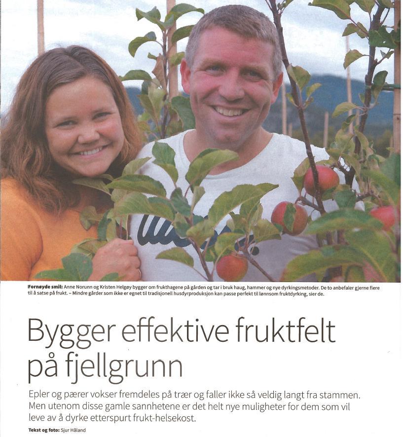 Kva er Ryfylke?