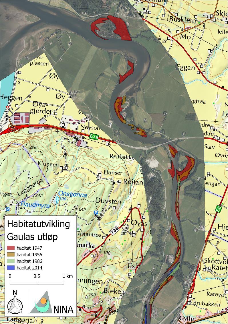 Figur 9. Vegetasjonsfrie sand- og/eller grusarealer i nedre del av Gaula, basert på fire serier med flybilder.