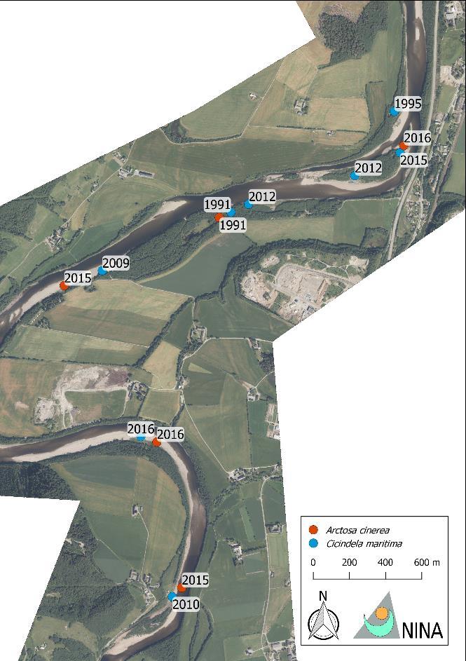 no/ Kregnesøya Fornes Habitatene ved Kregnesøya, vest for Kvål sentrum, har vært relativt stabile siden 1947, og det finnes her fortsatt store elveører som ikke har grodd igjen.