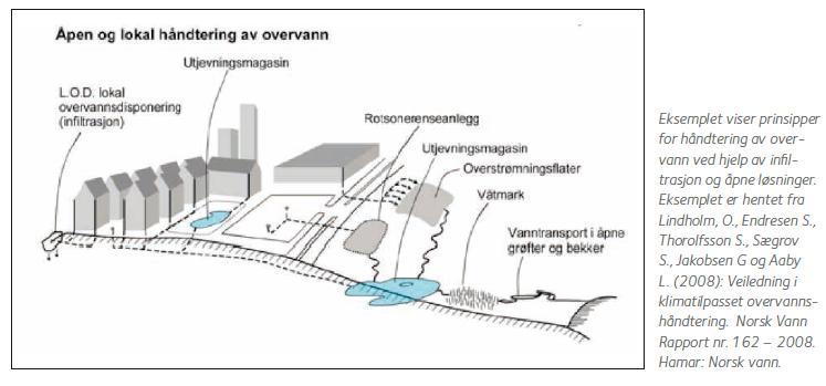 Bærerkaft - hva legger vi i begrepet?