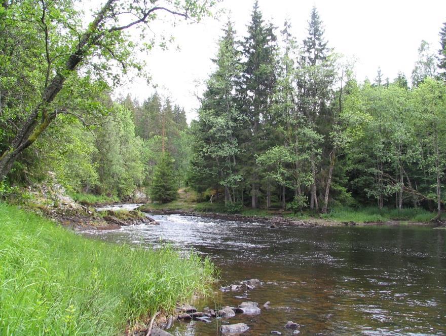 3 Beskrivelse av vassdragene i overvåkingsprogrammet 3.1 Enningdalselva, Østfold (vassdragsnr. 001.