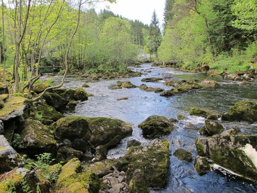 Område Oselvvassdraget ligger i Bergen og Os kommuner i Hordaland. Nedbørsfeltet er beregnet til ca. 103 km². Vassdraget består av en rekke innsjøer med relativt korte elvepartier i mellom.