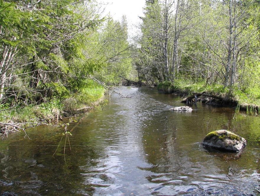 3.11 Borråselva i Gråelvavassdraget, Nord-Trøndelag (vassdragsnr. 124.2Z) Innledning Gråelvavassdraget er regulert til vannkraftformål.